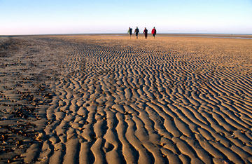 Comp image : ea00401 : Close-up of strongly defined rippled sand in low winter sun at low tide on the flat North Norfolk coast of England, with four people walking in the distance
