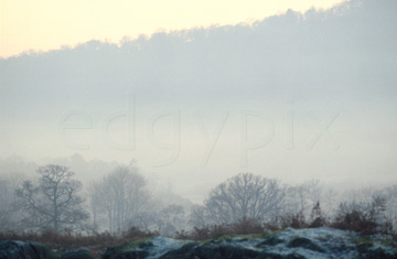 Comp image : ld01013 : Winter trees in a misty valley in the English Lake District