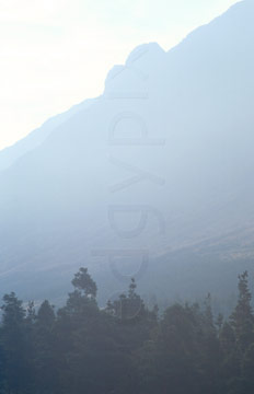 Comp image : ld05604 : The unmistakable profile of Pillar, in the English Lake District, seen through the autumn mist from the Ennerdale forest