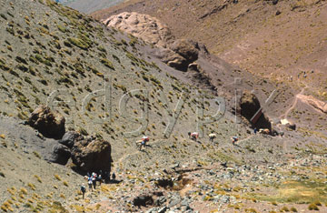 Comp image : mgun0807 : Looking down on the tiny figures of a trekking group and a mule train making their way along a track across the arid landscape in the Moroccan High Atlas mountains