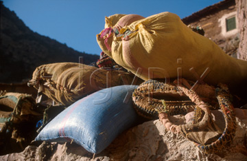 Comp image : mgun1116 : Trekking in the High Atlas mountains of Morocco; at a resting place some of the load has been taken off the hardworking mules and piled on a wall