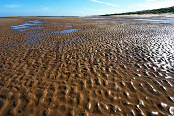 Comp image : shor022738 : Wet rippled sand in sunshine on a deserted beach at low tide on the flat North Norfolk coast of England, under a clear blue sky