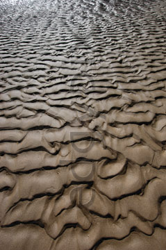 Comp image : shor022740 : Strongly defined ripples in the sand, seen against the light, on a deserted beach at low tide on the flat North Norfolk coast of England