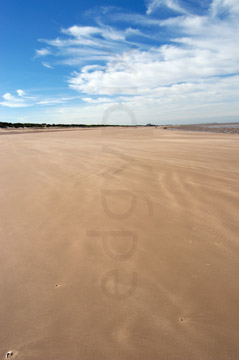 Comp image : shor022768 : Flat deserted beach at low tide under a blue sky with scattered cloud, on the North Norfolk coast of England