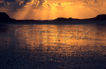Comp image : sky0103 : Reflection of a dramatic orange sunset in a wet stony sea shore at low tide