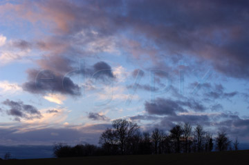 Comp image : sky020852 : Pink tinted dark clouds against a blue evening sky, with a copse of trees in silhouette on the skyline