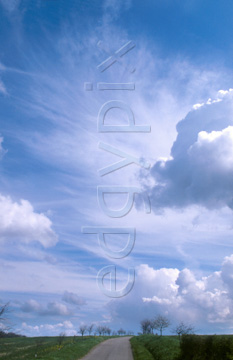 Comp image : sky0213 : Puffy white clouds in a blue sky over a strip of green fields
