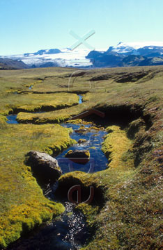 Comp image : torf0215 : Bright moss lines an isolated stream in Icelandic landscape. Myrdalsjökull [Myrdalsjokull] in the background