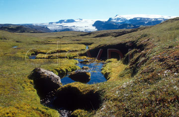 Comp image : torf0216 : Bright moss lines an isolated stream in Icelandic landscape. Myrdalsjökull [Myrdalsjokull] in the background