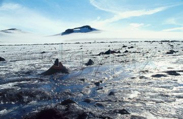 Comp image : torf0907 : On the Torfajökull [Torfajokull] icecap, southern Iceland