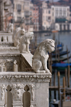 Comp image : ven021539 : Carved lions on balconies of the Ca' d'Oro (built 1421 - 1440) overlooking the Grand Canal [Canal Grande] in Venice, Italy, with gondolas and old buildings out of focus in the background