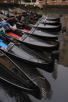 Comp image : ven021630 : The bows of black gondolas moored in Venice, Italy, form a fan shaped pattern