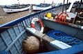 Ropes and tackle in a blue painted fishing boat on the shore at Aldeburgh, Suffolk, England