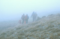 A family descends though thick mist after a day's fell walking in the English Lake District
