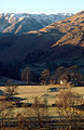 Looking across trees in Patterdale valley to Deepdale and snow-covered Rydal Head, in the English Lake District