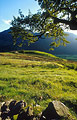 View over a stone wall and field into late afternoon autumn sun over Buttermere, in the English Lake District