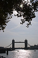 Distant view of London's Tower Bridge, against the light, from the north bank of the River Thames, with overhanging trees