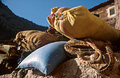 Trekking in the High Atlas mountains of Morocco; at a resting place some of the load has been taken off the hardworking mules and piled on a wall