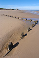 A zigzag line of wooden posts in sunshine on a deserted sandy beach at low tide on the flat North Norfolk coast of England, under a clear blue sky