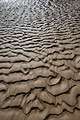 Strongly defined ripples in the sand, seen against the light, on a deserted beach at low tide on the flat North Norfolk coast of England