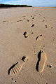 Footprints in the sand on a flat deserted beach at low tide on the North Norfolk coast of England, in strong sunshine