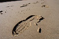 Close-up of a footprint in wet sand on a flat deserted beach at low tide on the North Norfolk coast of England, in strong sunshine