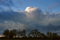 A heavy band of dark clouds against a blue evening sky, with a row of bare trees in silhouette on the skyline