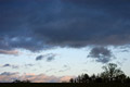 A heavy band of dark cloud against a light evening sky, with a copse of trees in silhouette on the skyline