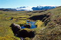 Bright moss lines an isolated stream in Icelandic landscape. Myrdalsjökull [Myrdalsjokull] in the background