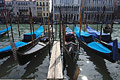 Gondolas moored in strong sunshine on the Grand Canal [Canal Grande] in Venice, Italy