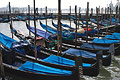 Gondolas with blue covers moored near the Piazzetta San Marco in Venice, Italy